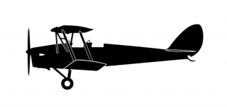 nálepka Tiger moth (15cm černá)